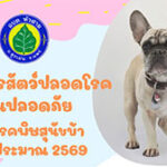 องค์การบริหารส่วนตำบลหัวฝาย ขอประชาสัมพันธ์ โครงการสัตว์ปลอดโรคคนปลอดภัยจากพิษสุนัขบ้า ประจำปี พ.ศ.2569